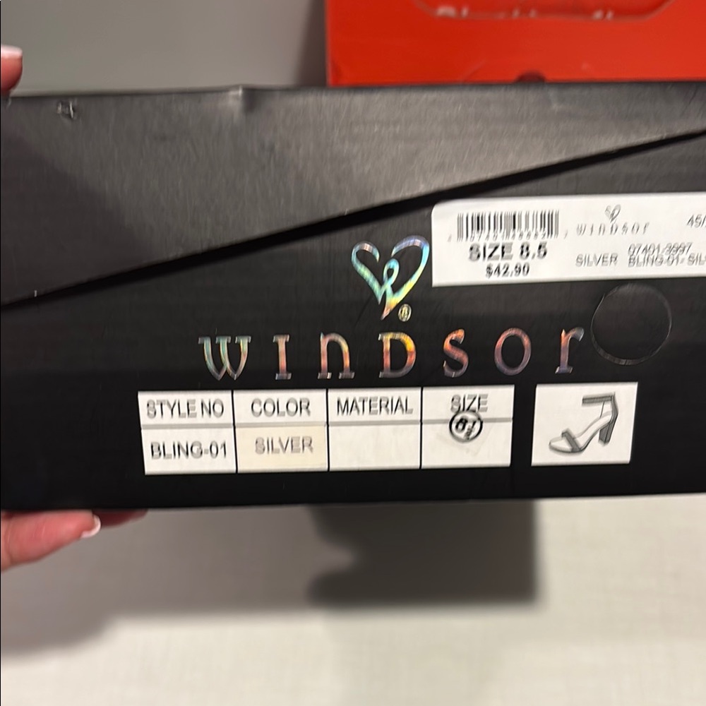 Windsor Shimmering Silver Footwear